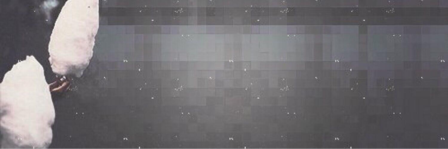 fe_2o's profile banner image