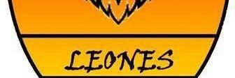 leonesfc1993's profile banner image