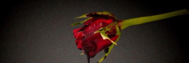 xxx_ccck's profile banner image