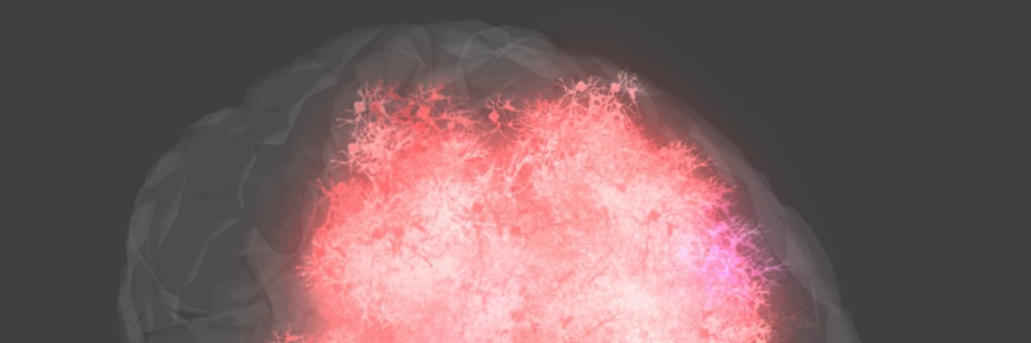 Joshua Kugel's banner