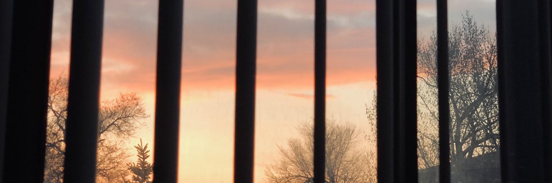 SchmidtBailey's profile banner image