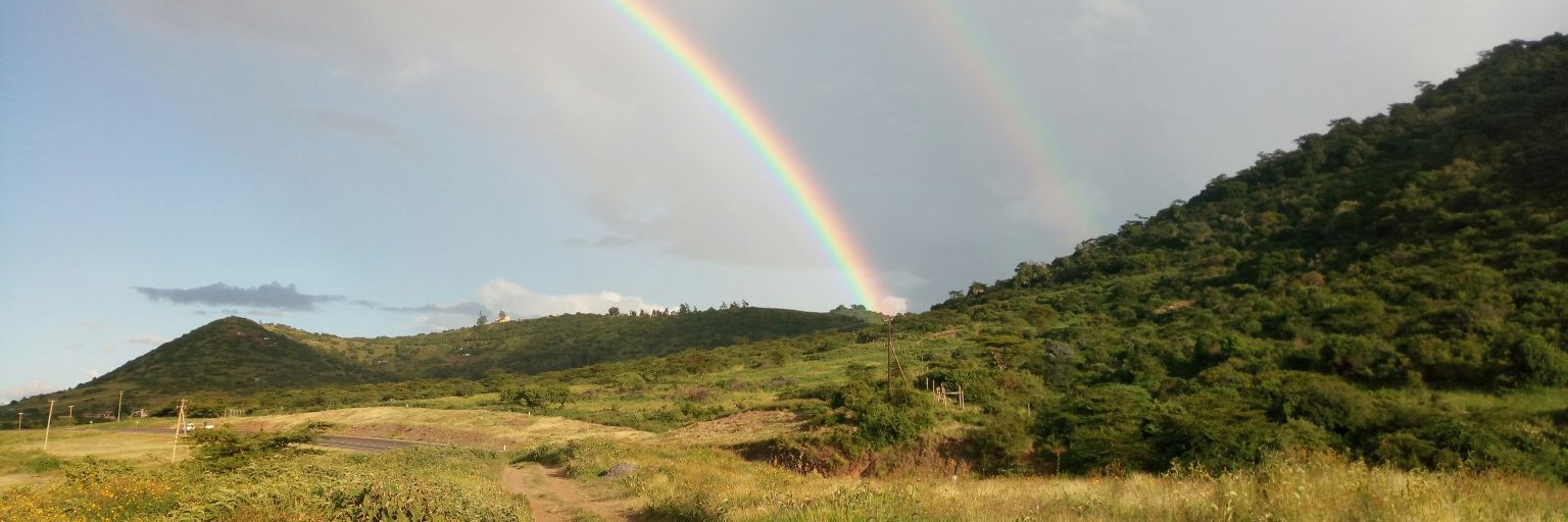 Hirkena's profile banner image