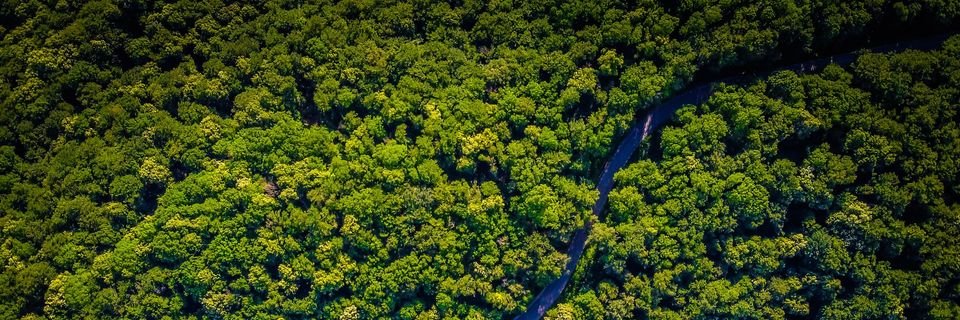 saveearthfund's profile banner image