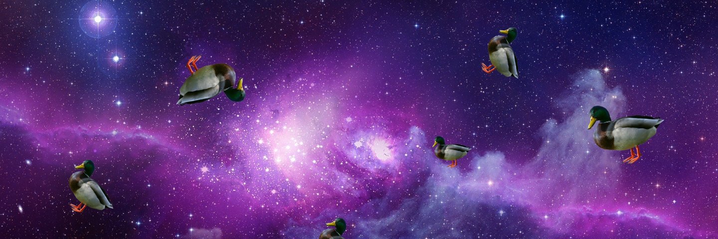 AviyaDK's profile banner image
