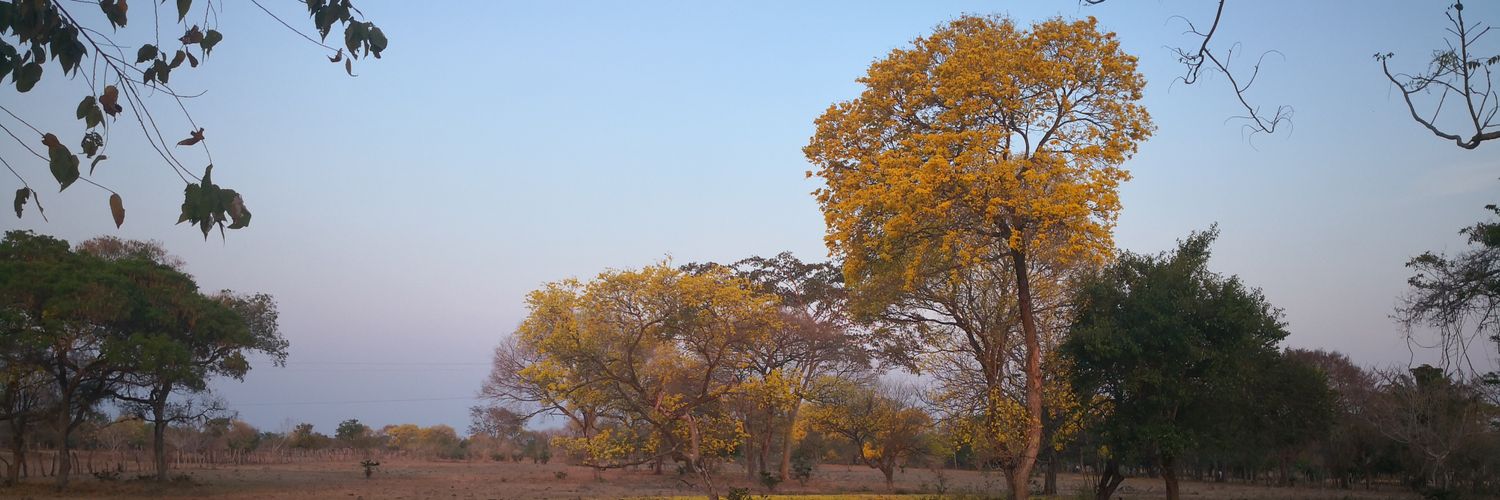 Aronauta11's profile banner image