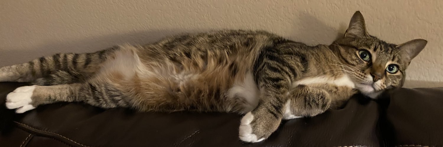 munozgabyy's profile banner image