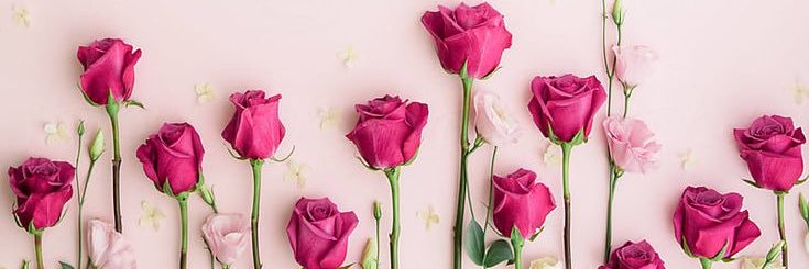 MyNameIsMagz's profile banner image