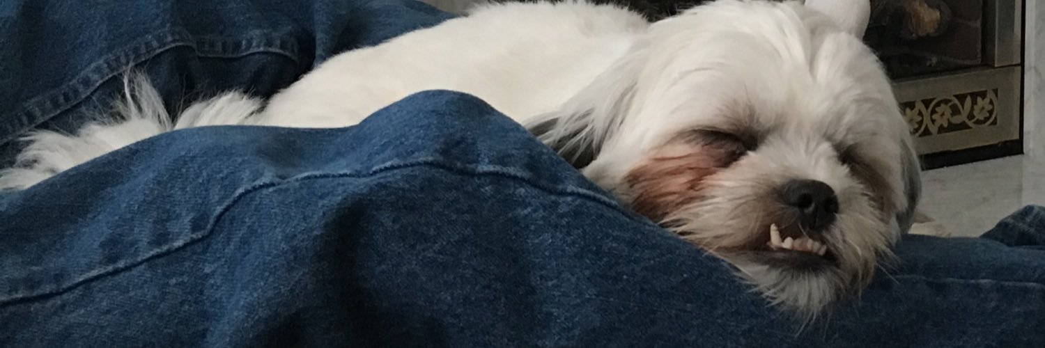 HollyStorz's profile banner image