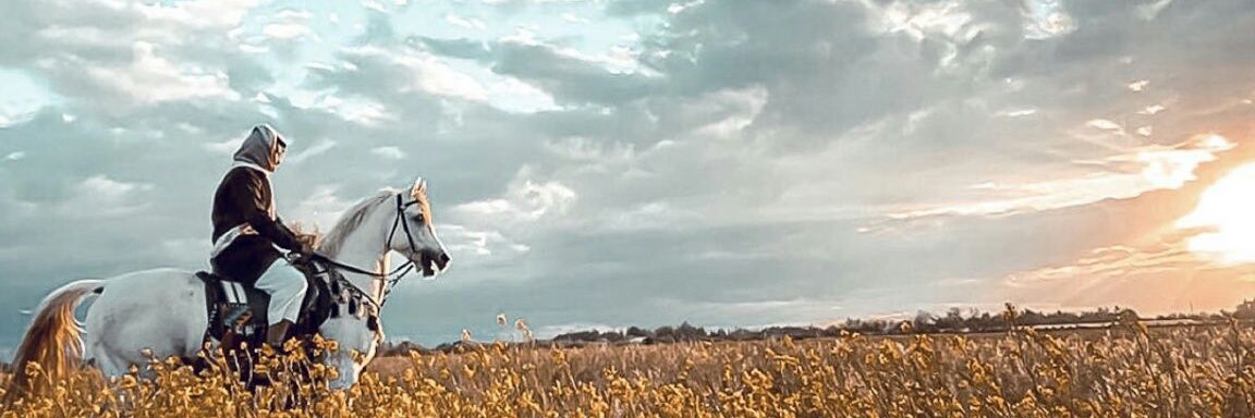 7ussainmudifa's profile banner image
