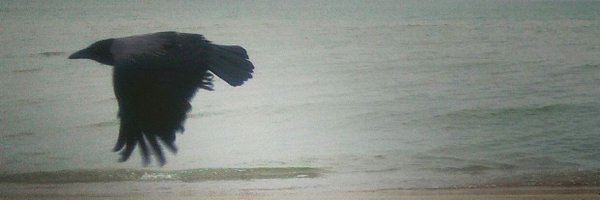 MirjamHauck Profile Banner