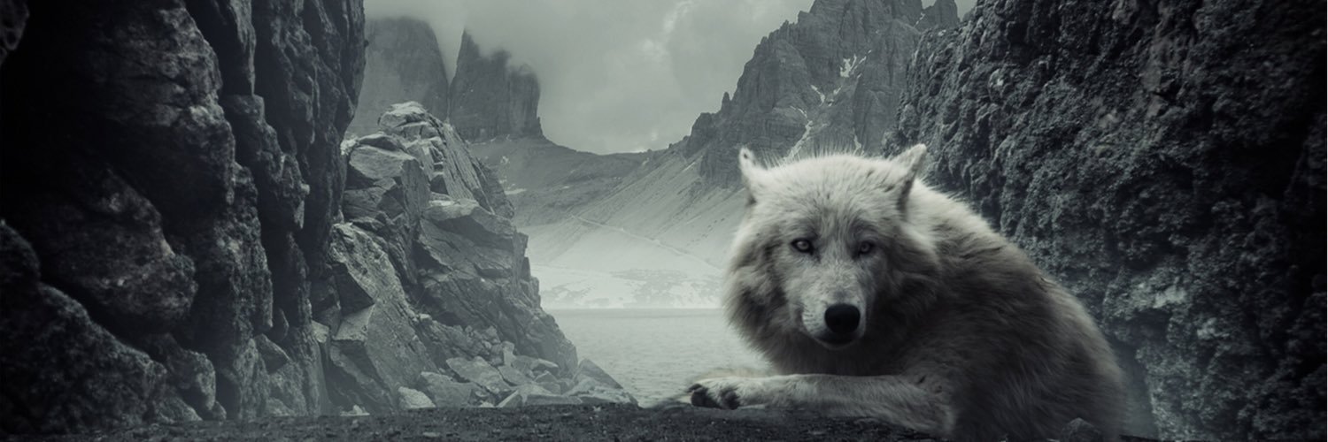 AaronShakur's profile banner image