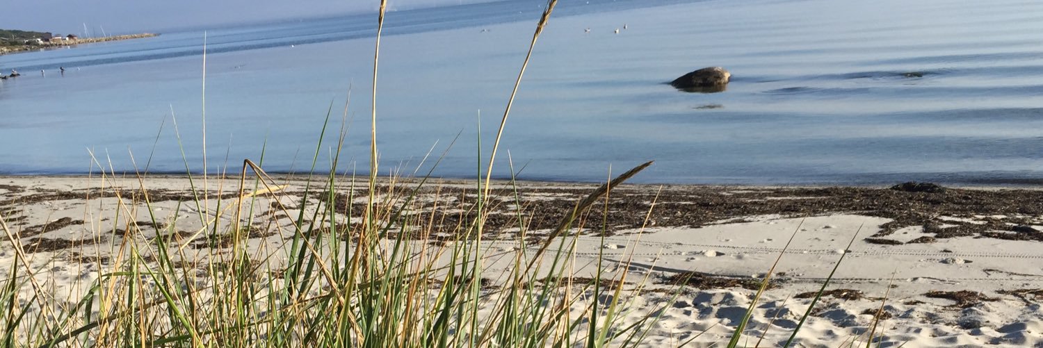 snccn's profile banner image
