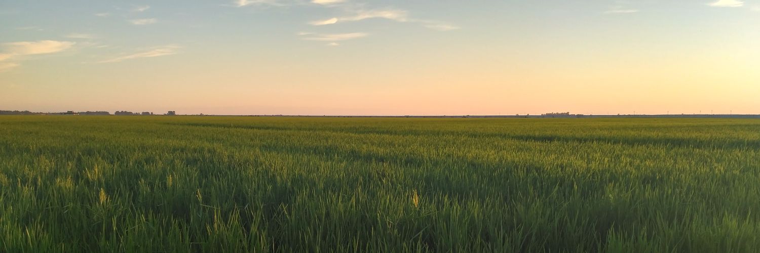 benjaminpuebla's profile banner image