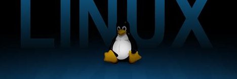 Josefo banner