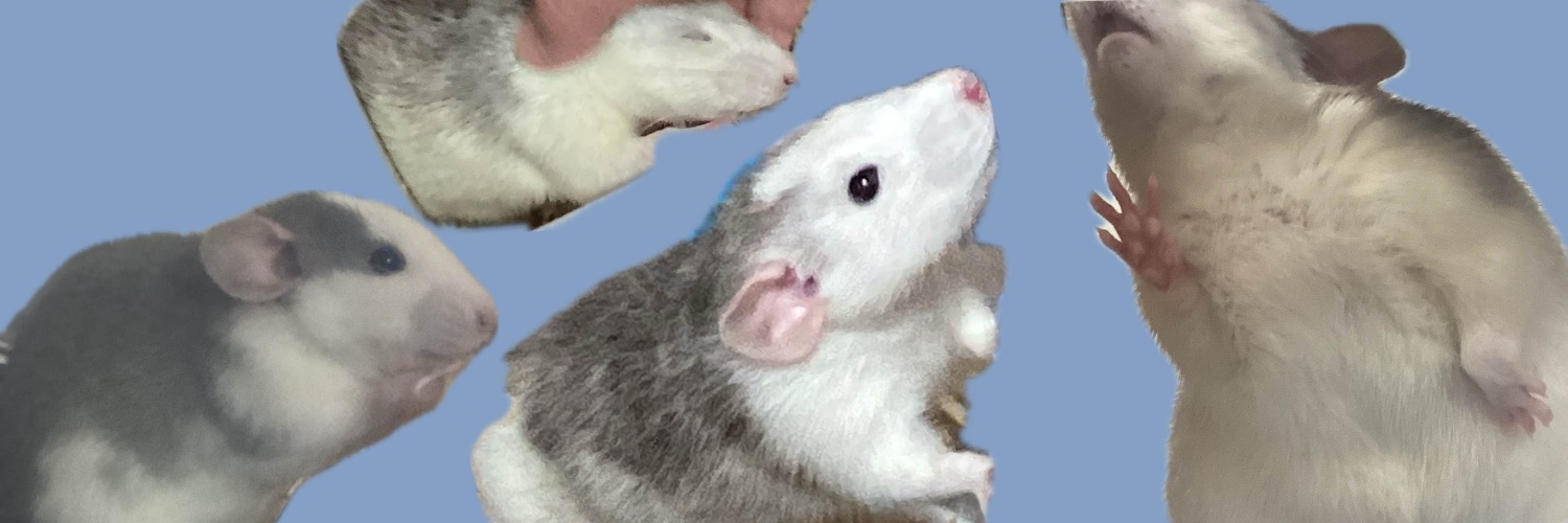 ragae_punch's profile banner image