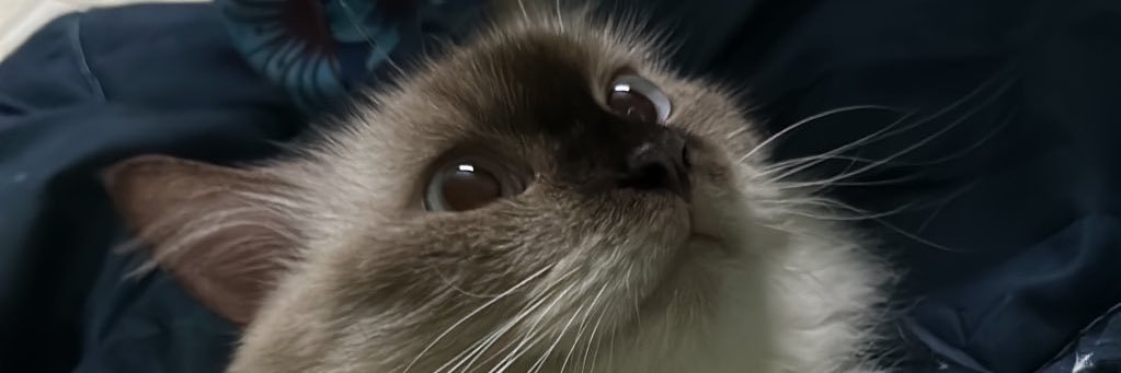 lmxsn's profile banner image