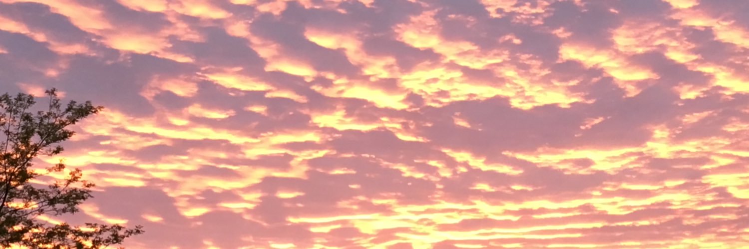 Graham 🇬🇧🏴󠁧󠁢󠁥󠁮󠁧󠁿 🚜🚍 banner