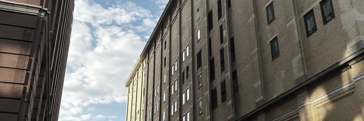 n. banner