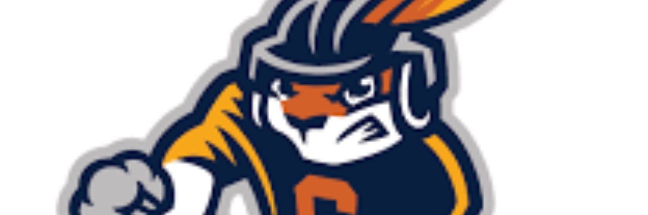 TheOlsenPrince's profile banner image
