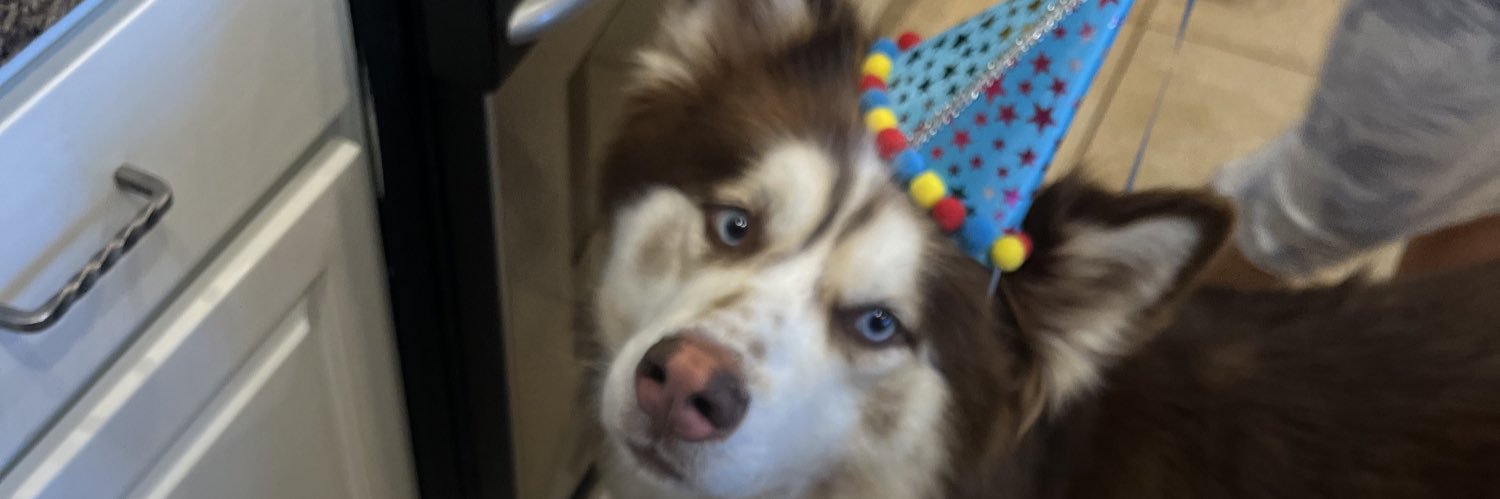 SheWearsTommy's profile banner image