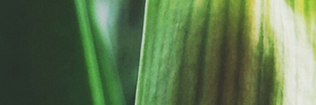 Ajar_Tech's profile banner image
