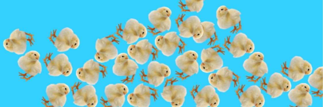comikadokensuke's profile banner image