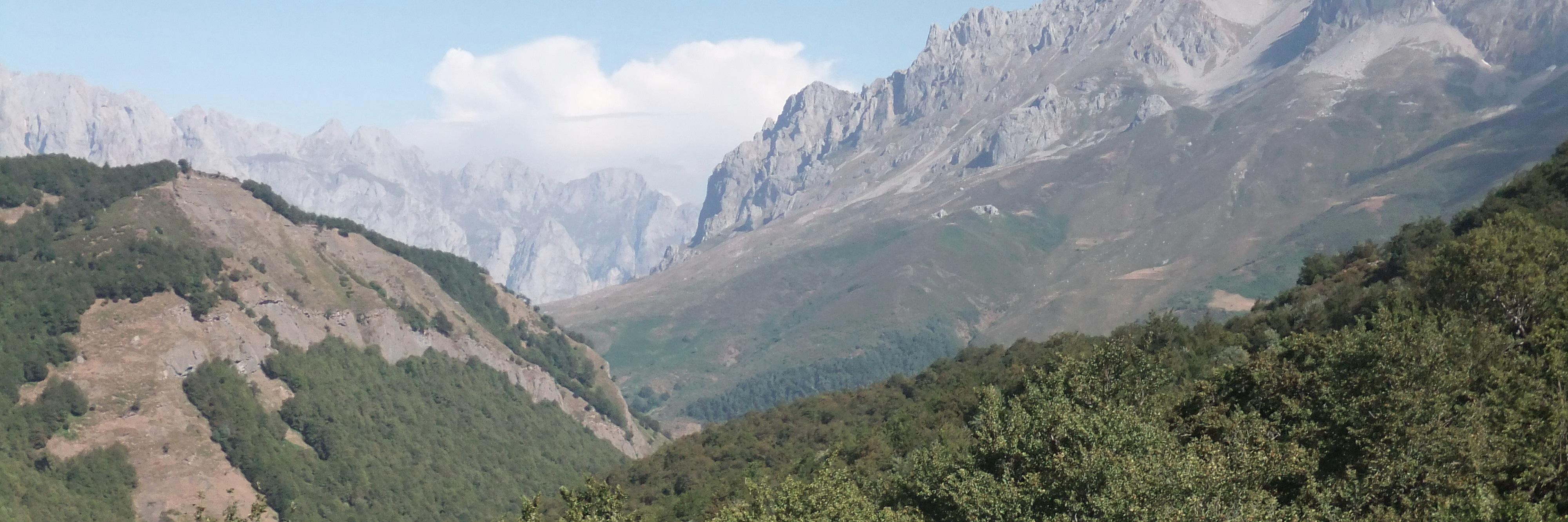 smbart's profile banner image