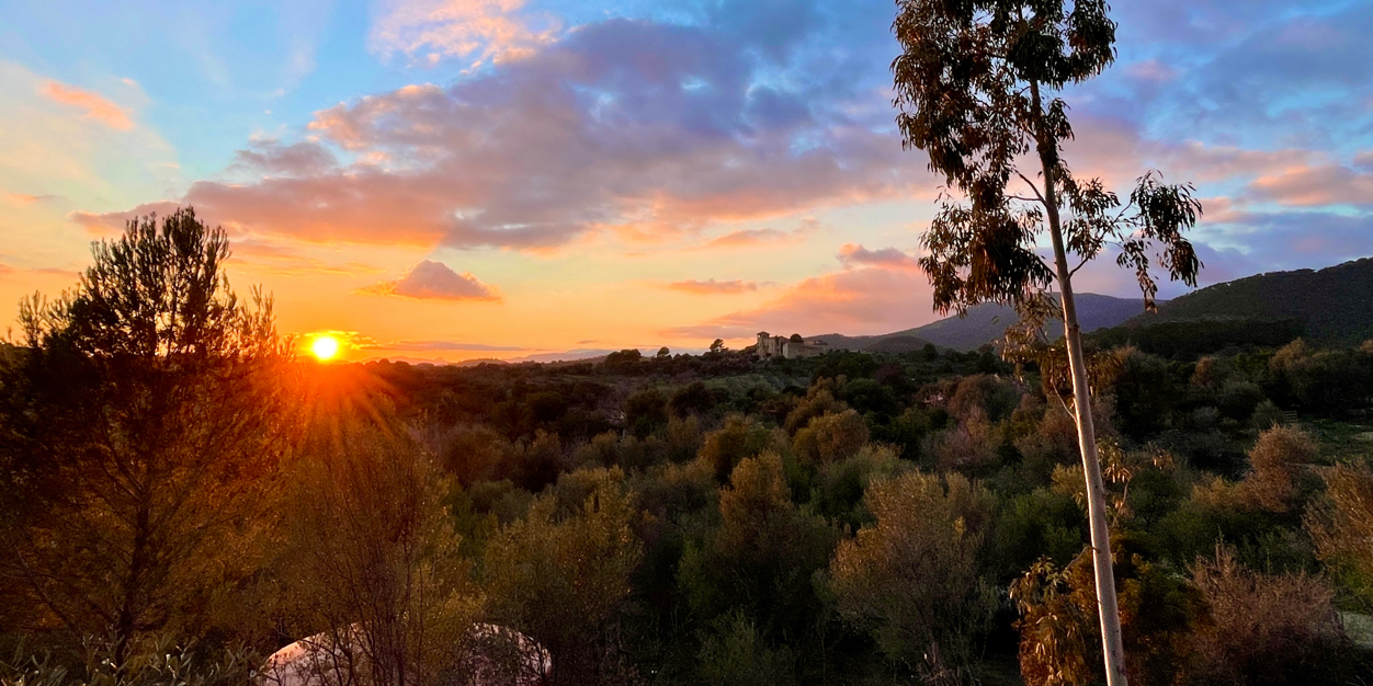 Mathijs Vrieze banner