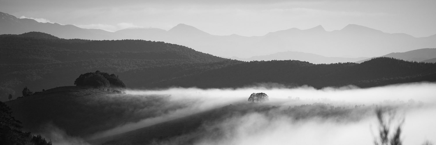 edvz01's profile banner image
