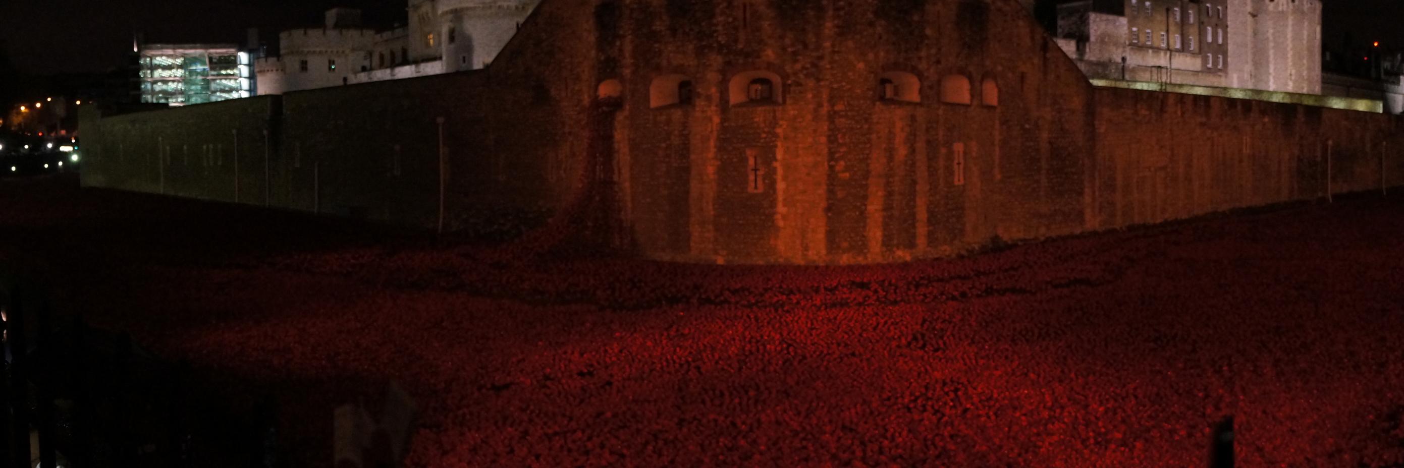 James, with 🇺🇦 banner