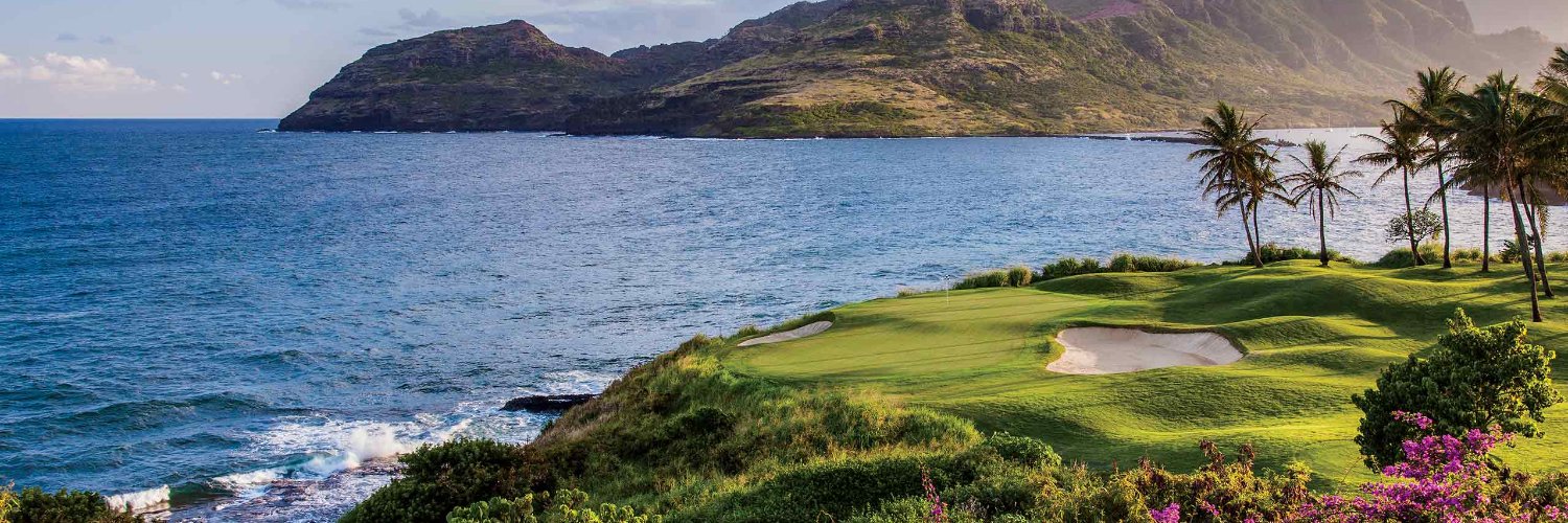 Monica Molinaro banner