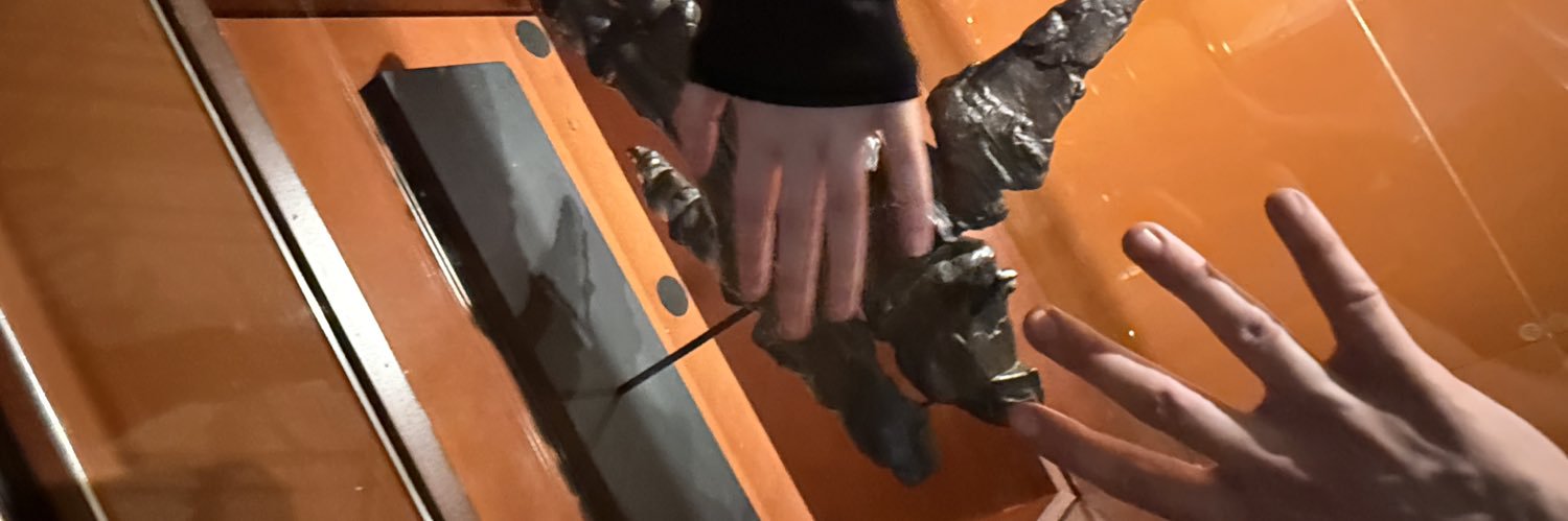 mandabunnie's profile banner image