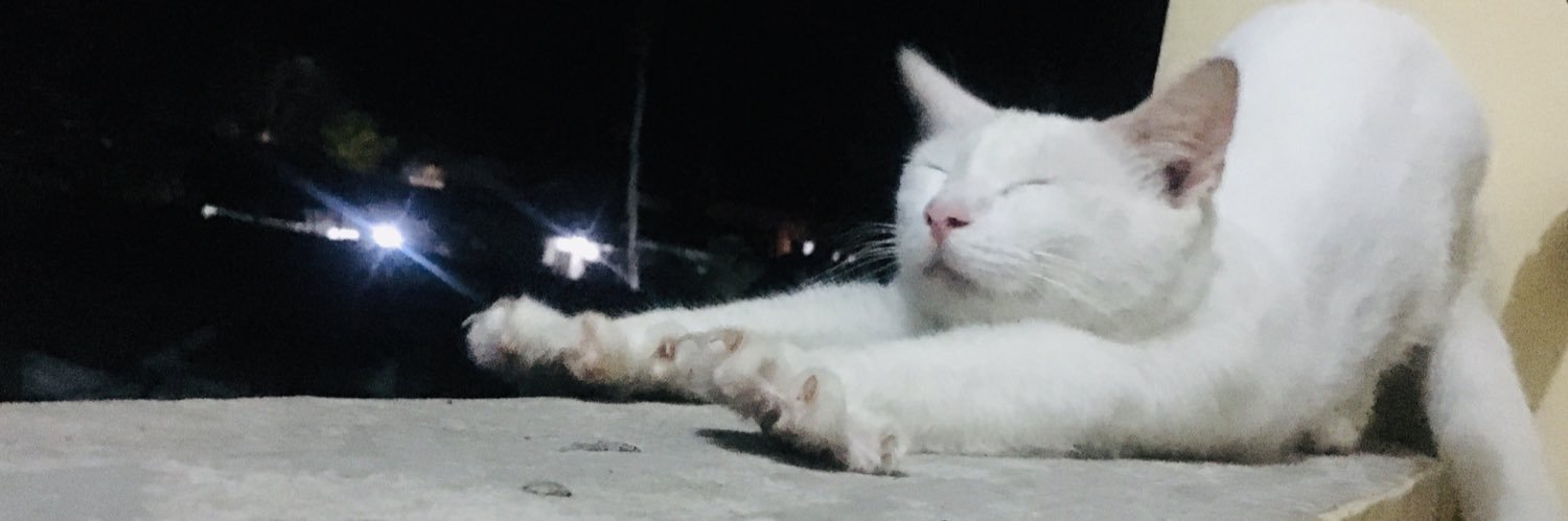 phoeberuary13's profile banner image