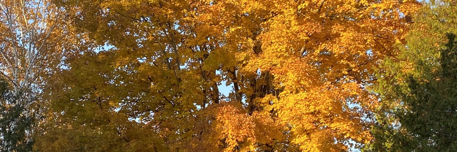 Michelle_Joyner's profile banner image