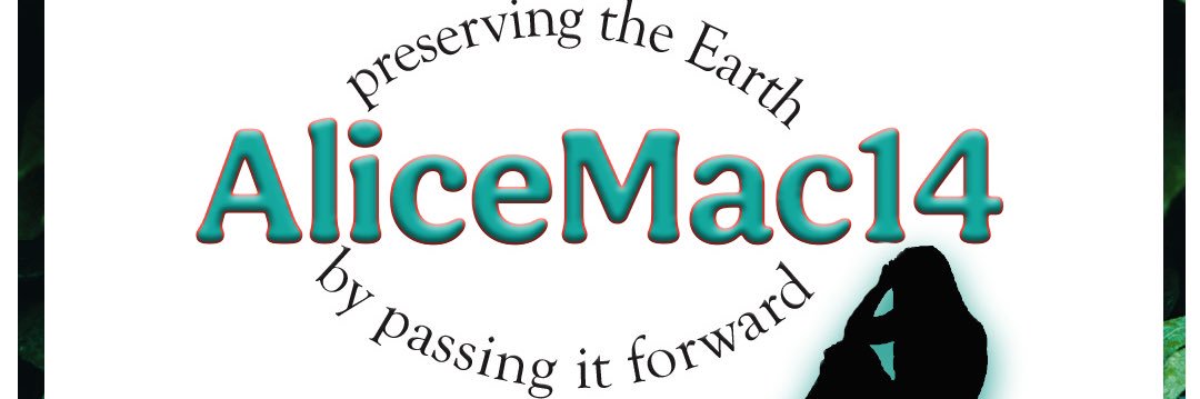 AliceMac14's profile banner image