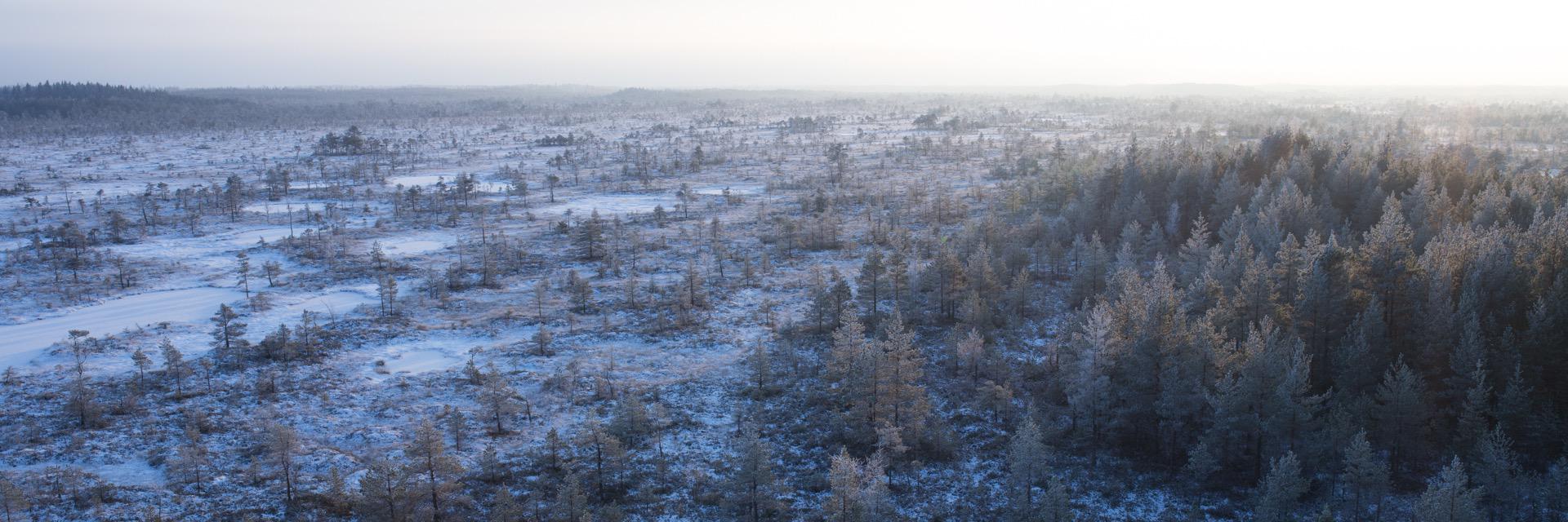 erkkipung's profile banner image