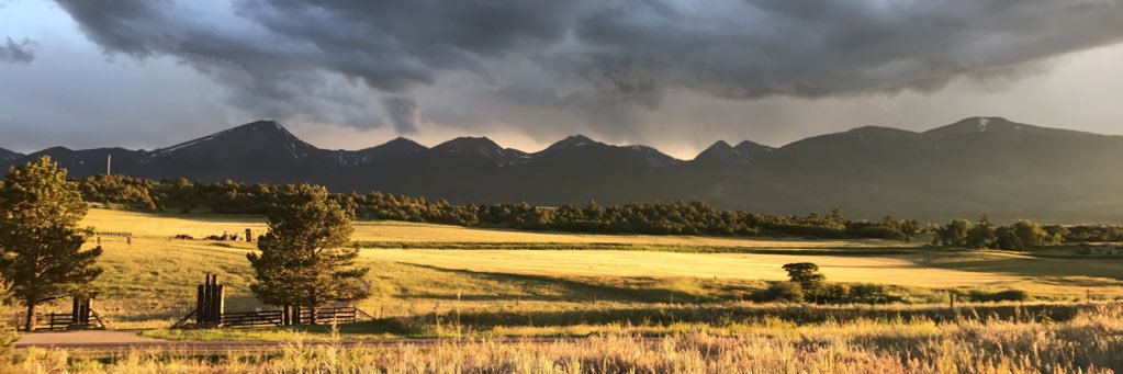 HarshfieldHenry's profile banner image