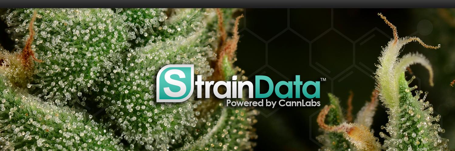 StrainData's profile banner image