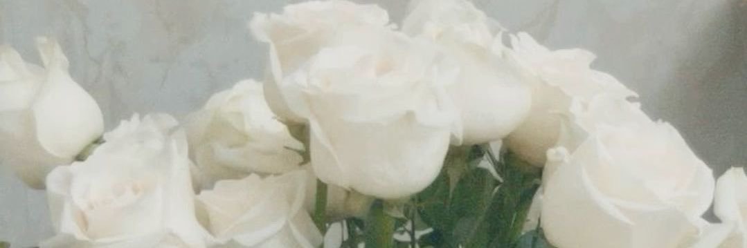 𝒦 ❥ banner