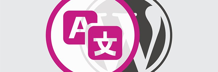 Pune WordPress banner