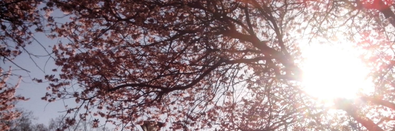 pasapinta's profile banner image
