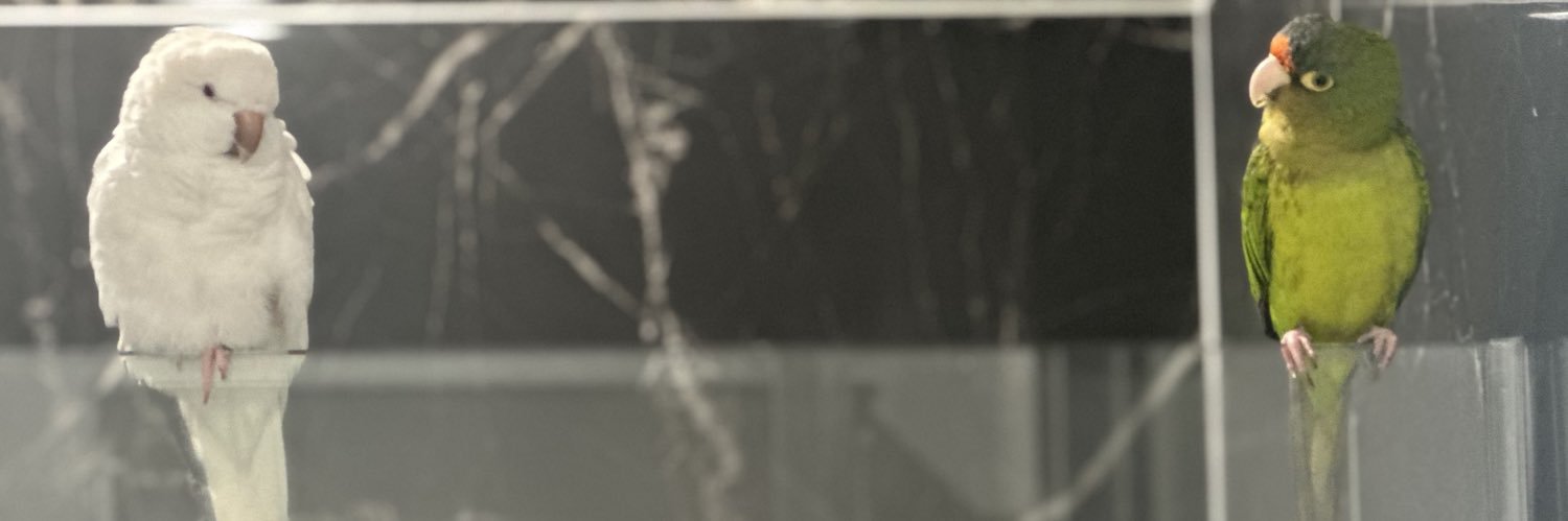 _goldenkat's profile banner image