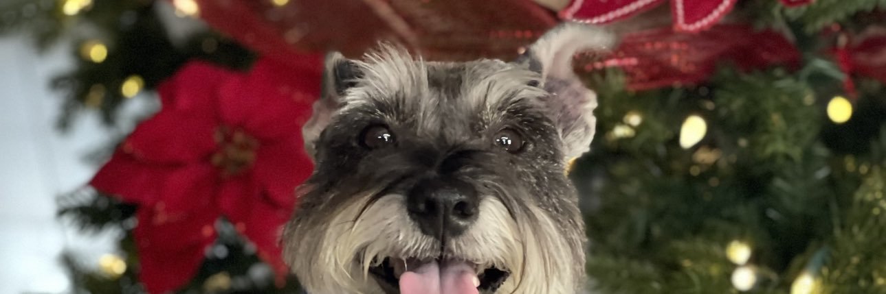 fluffysierah's profile banner image