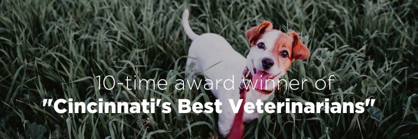 AnimalCareVet's profile banner image