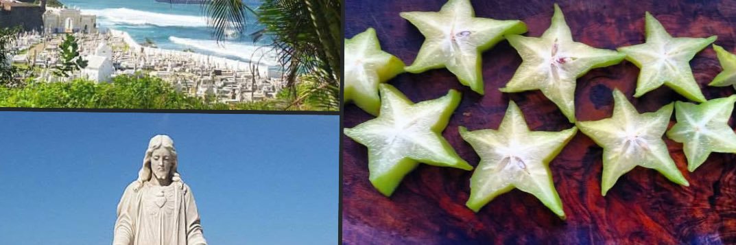 Banned in Babylon banner