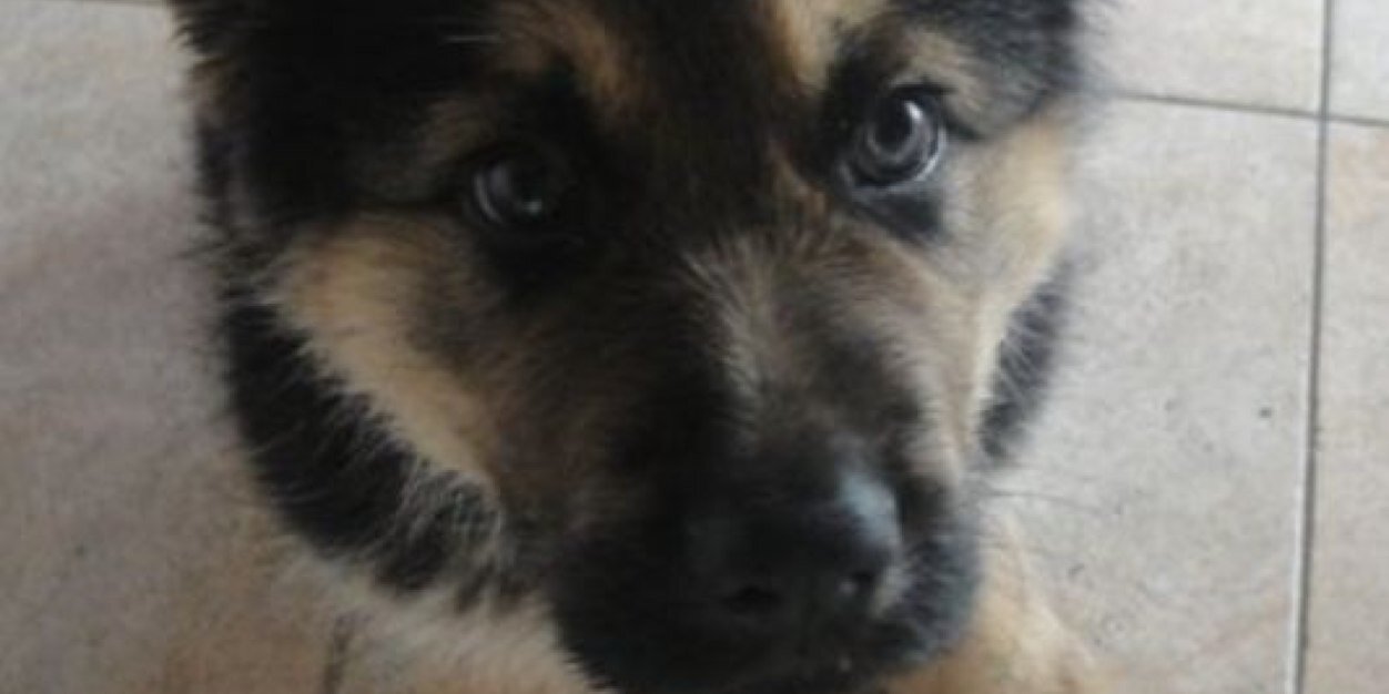 RuG86's profile banner image