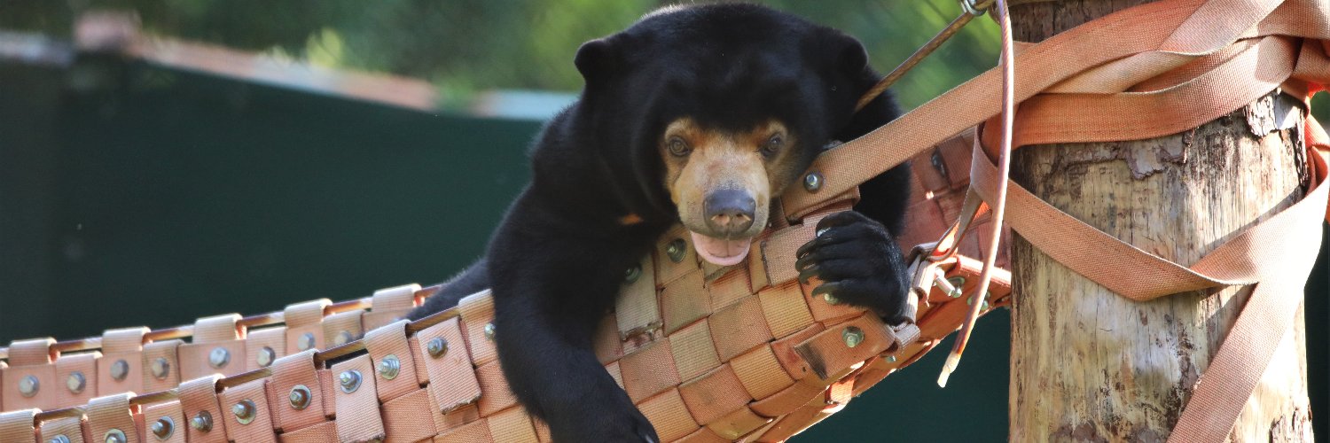 AnimalsAsia's profile banner image