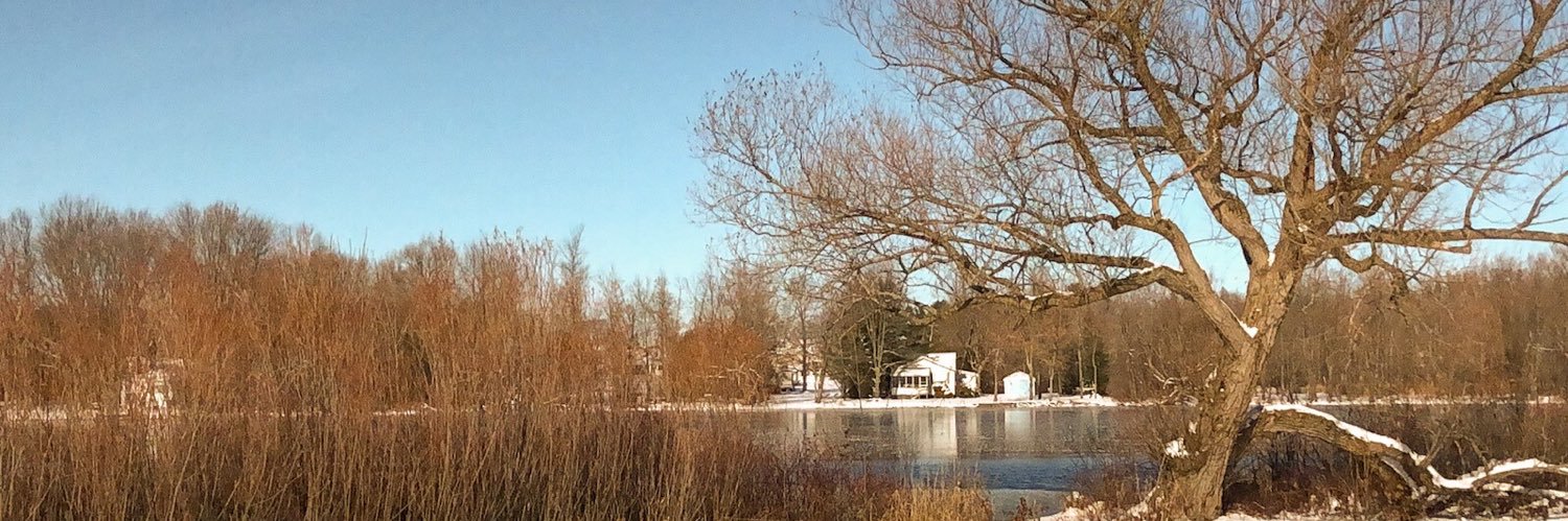 PennyLynnH's profile banner image