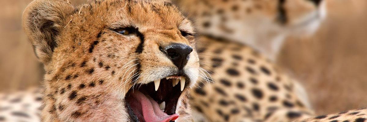 marilyn_64's profile banner image
