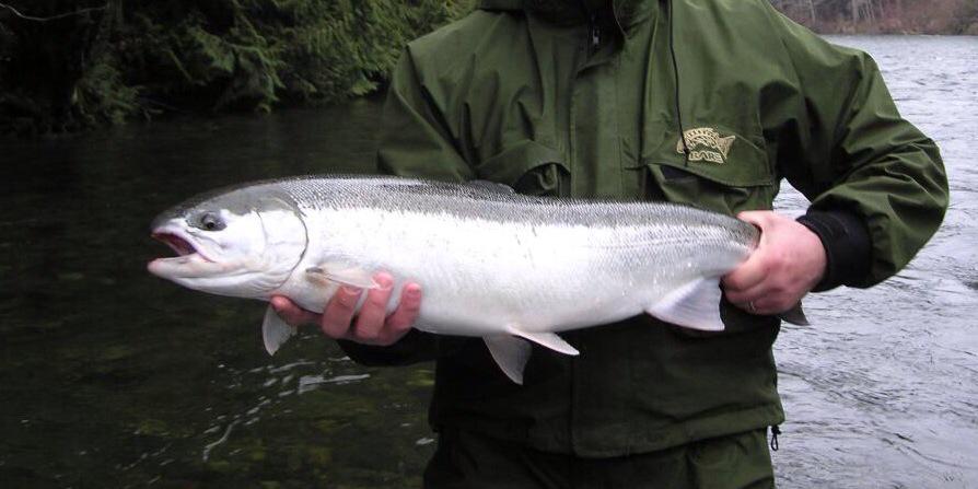 wsfishcharters's profile banner image